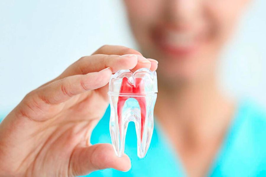 Endodoncia